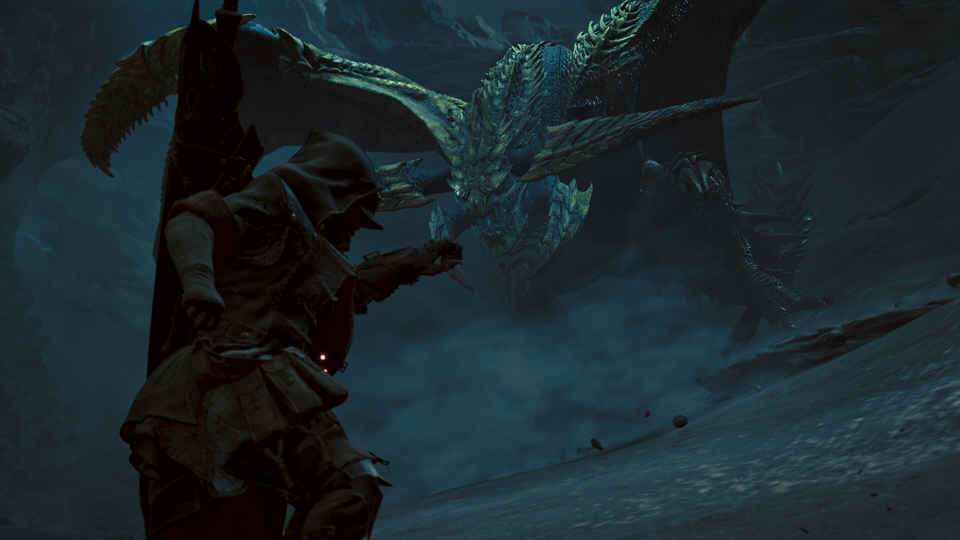怪物猎人：荒野/Monster Hunter Wilds