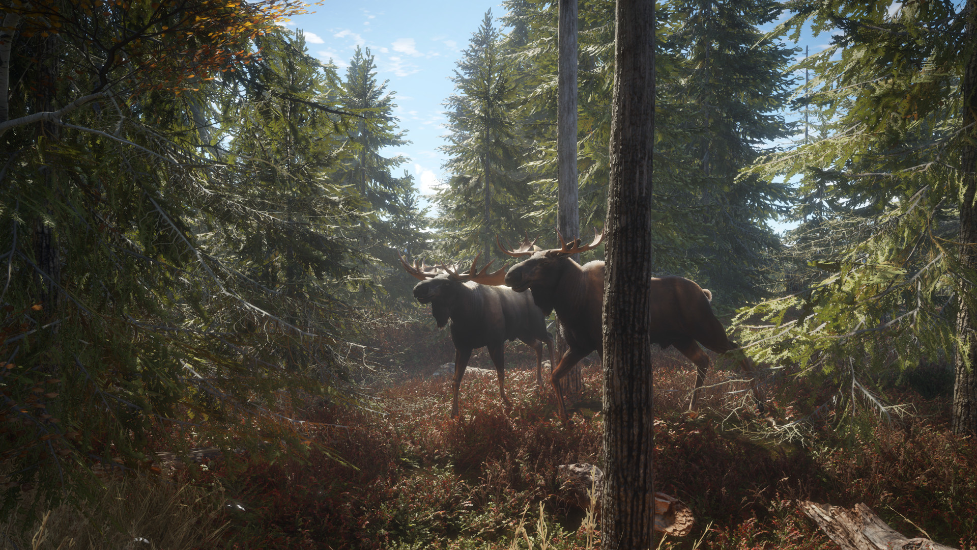 猎人:荒野的召唤/theHunter: Call of the Wild/支持网络联机 猎人:荒野的召唤/theHunter: Call of the Wild/支持网络联机