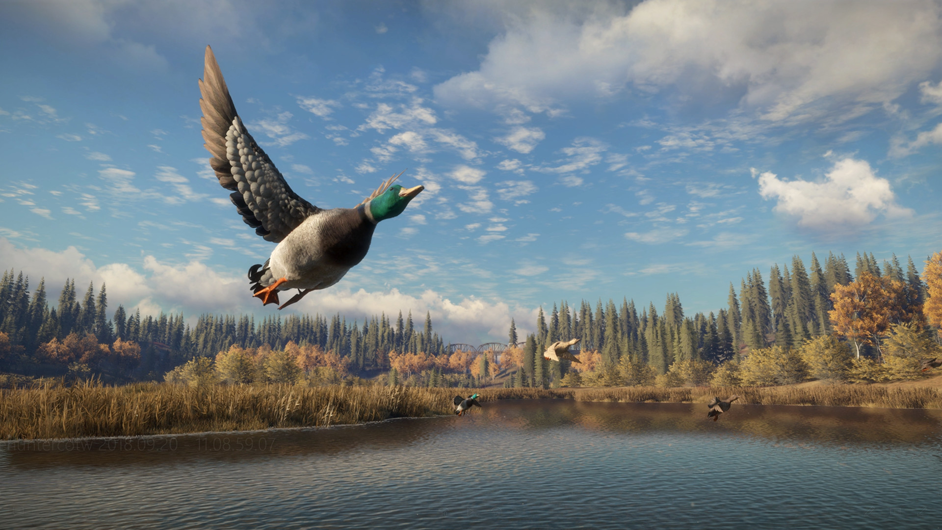 猎人:荒野的召唤/theHunter: Call of the Wild/支持网络联机 猎人:荒野的召唤/theHunter: Call of the Wild/支持网络联机