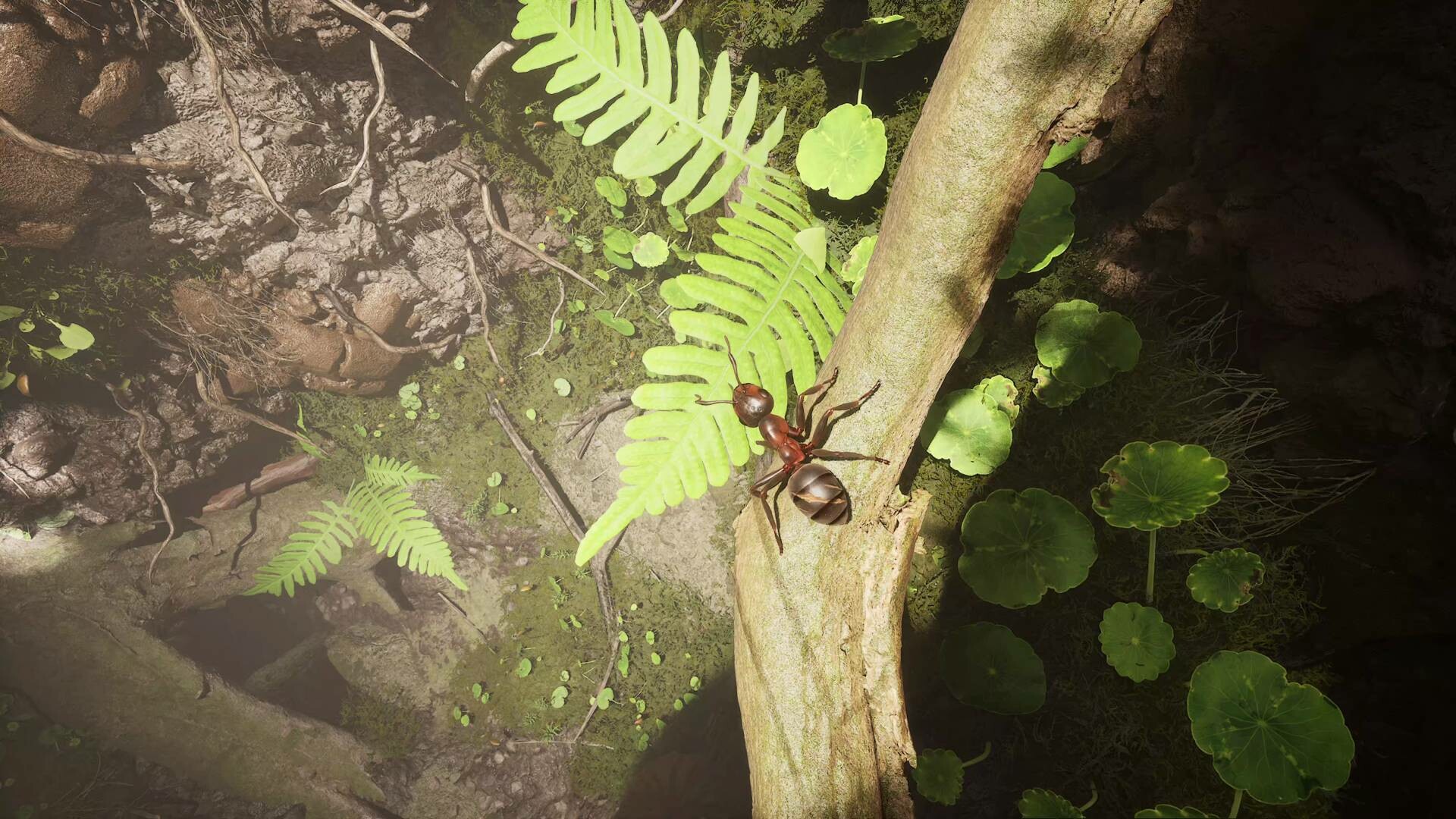 蚂蚁帝国/Empire of the Ants 版本更新 蚂蚁帝国/Empire of the Ants 版本更新