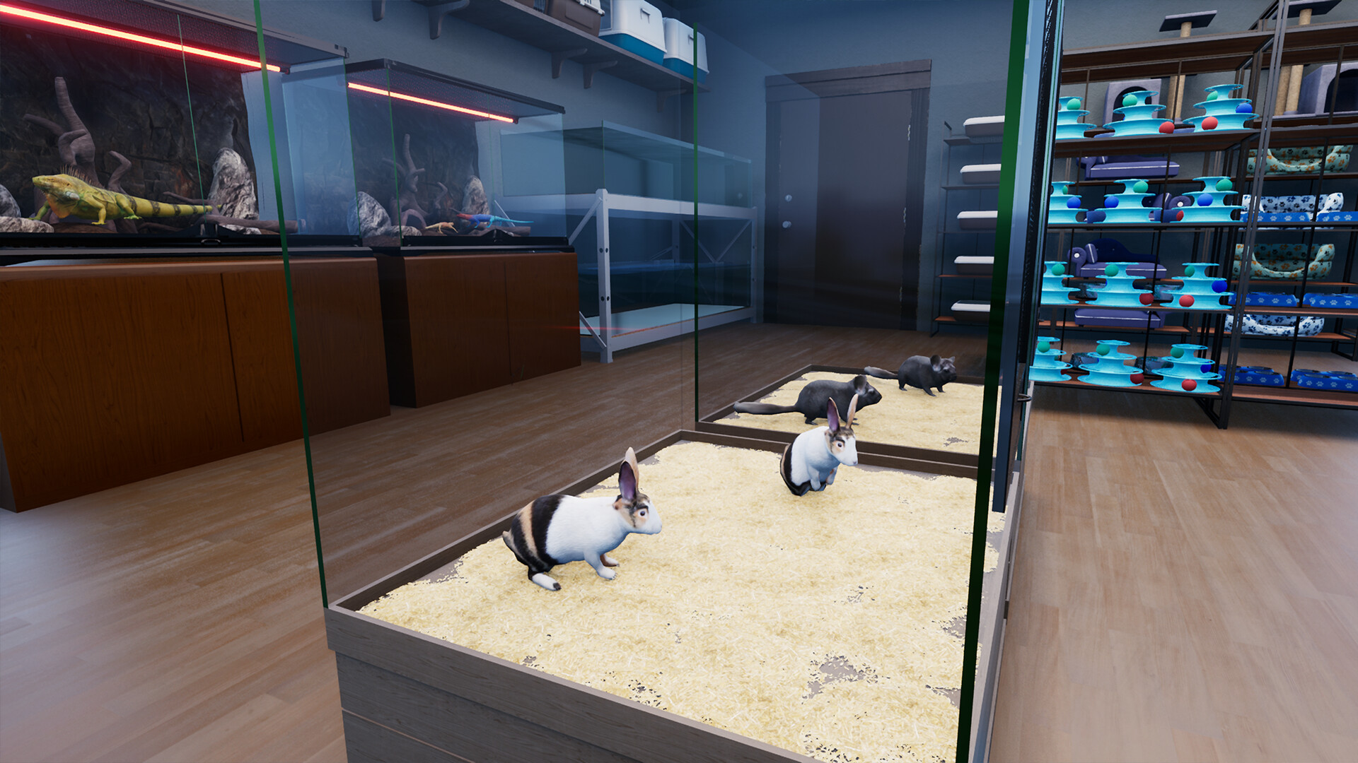 异域风情2:宠物店模拟器/Exotica 2: Pet Shop Simulator 版本更新 异域风情2:宠物店模拟器/Exotica 2: Pet Shop Simulator 版本更新