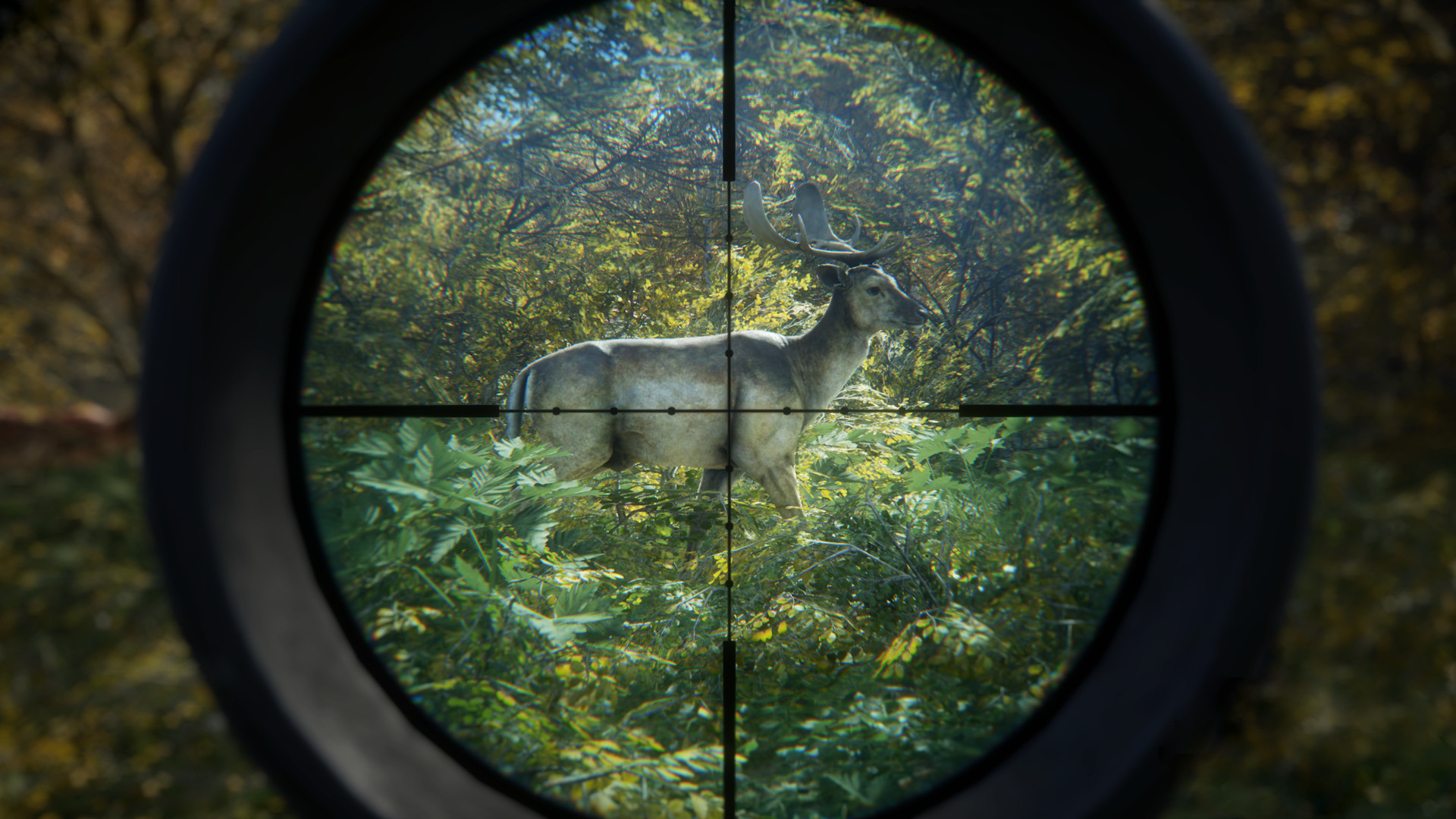 猎人:荒野的召唤/theHunter: Call of the Wild/支持网络联机 猎人:荒野的召唤/theHunter: Call of the Wild/支持网络联机