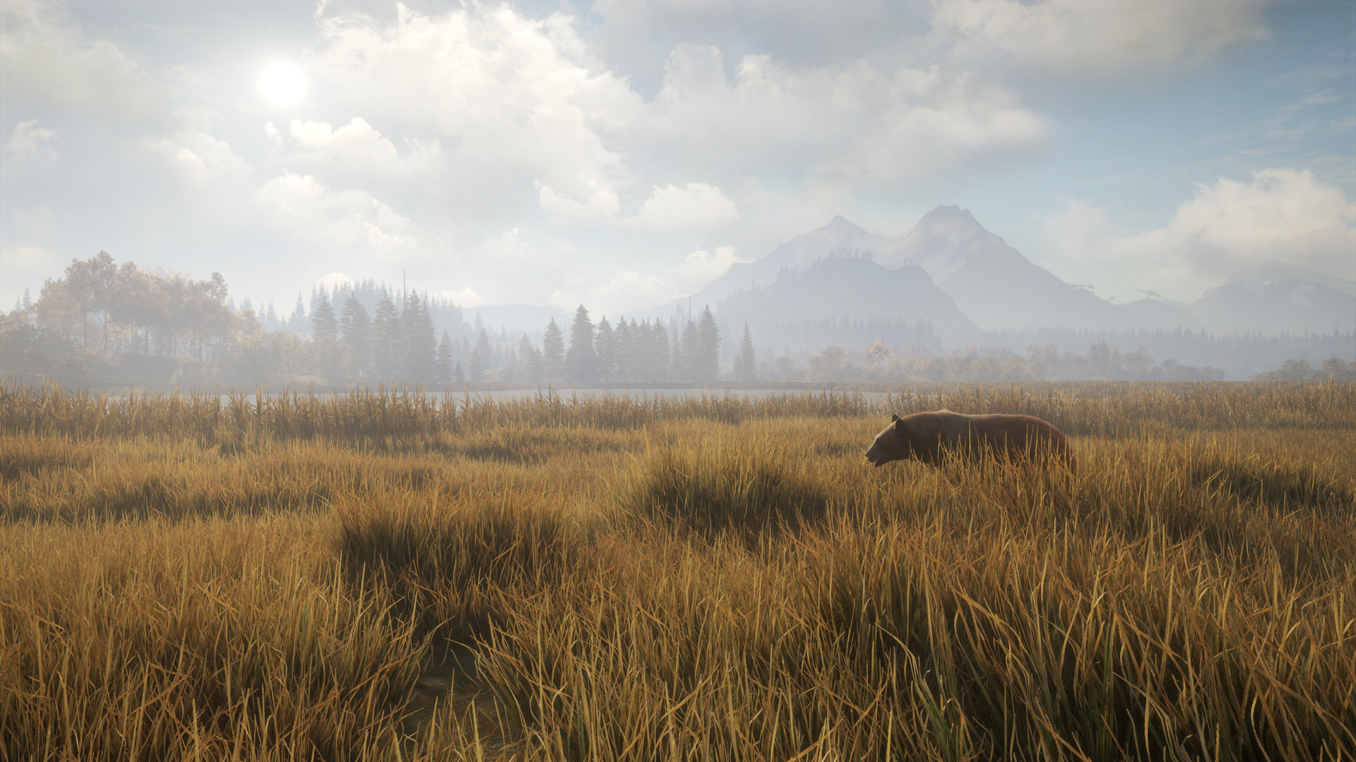 猎人:荒野的召唤/theHunter: Call of the Wild/支持网络联机 猎人:荒野的召唤/theHunter: Call of the Wild/支持网络联机