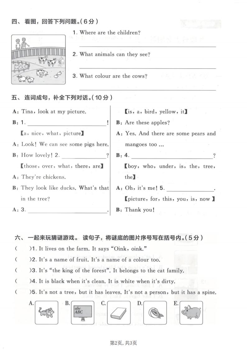 三年级下英语期末句型专项练习《译林版》-钛库啦